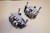 Set of front brake calipers - Δαγκανες μπροστινου φρενου XRV750 RD07