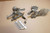 Set of footrests - Μπροστινα μασπιε ZX12 NINJA