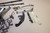 Set of various parts -  Διαφορα ανταλλακτικα ZX12 NINJA