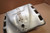 Skid plate - Ποδια πλαισιου XLV600 TRANSALP