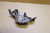 Front sprocket cover - Καπακι γραναζιου κινητηρα FZ250 PHAZER