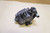 Front brake caliper - Δαγκανα μπροστινου φρενου F650 CS SCARVER