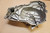 Clutch cover - Καπακι καμπανας συμπλεκτη F650 CS SCARVER
