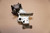 Rear brake caliper - Πισω δαγκανα φρενου KLR 650 TENGAI