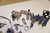 Set of various parts  - Διαφορα ανταλλακτικα KLR 650 TENGAI
