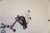 Set of engine mounts - Βασεις κινητηρα KLR 650 TENGAI