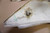 Set of seat panels - Πισω πλαινα πλαστικα FZR400 1WG