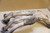 Exhaust manifold - Χταποδι εξατμισης FZR400 1WG