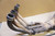 Exhaust manifold - Χταποδι εξατμισης FZR400 1WG
