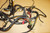 Wiring loom - Πλεξουδα  F650 FUNDURO