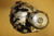 Clutch cover -  Καπακι καμπανας συμπλεκτη CB400 Super Four