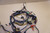 Wiring loom - Πλεξουδα GF250