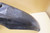 Set of mudguards  - Φτερα DT125 3BN