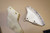 Various parts  -   Διαφορα  ανταλλακτικα KLE500