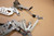 Set of front footrests - Μπροστινα  μασπιε GSXR1000 K4