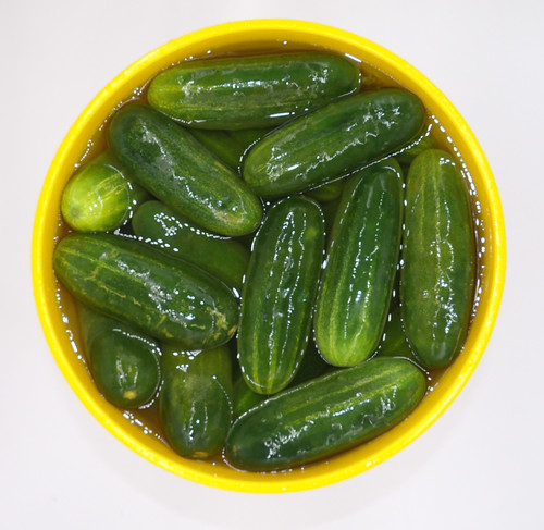 Chipico Dill Baby Whole Pickles (2 Gallon Pail)