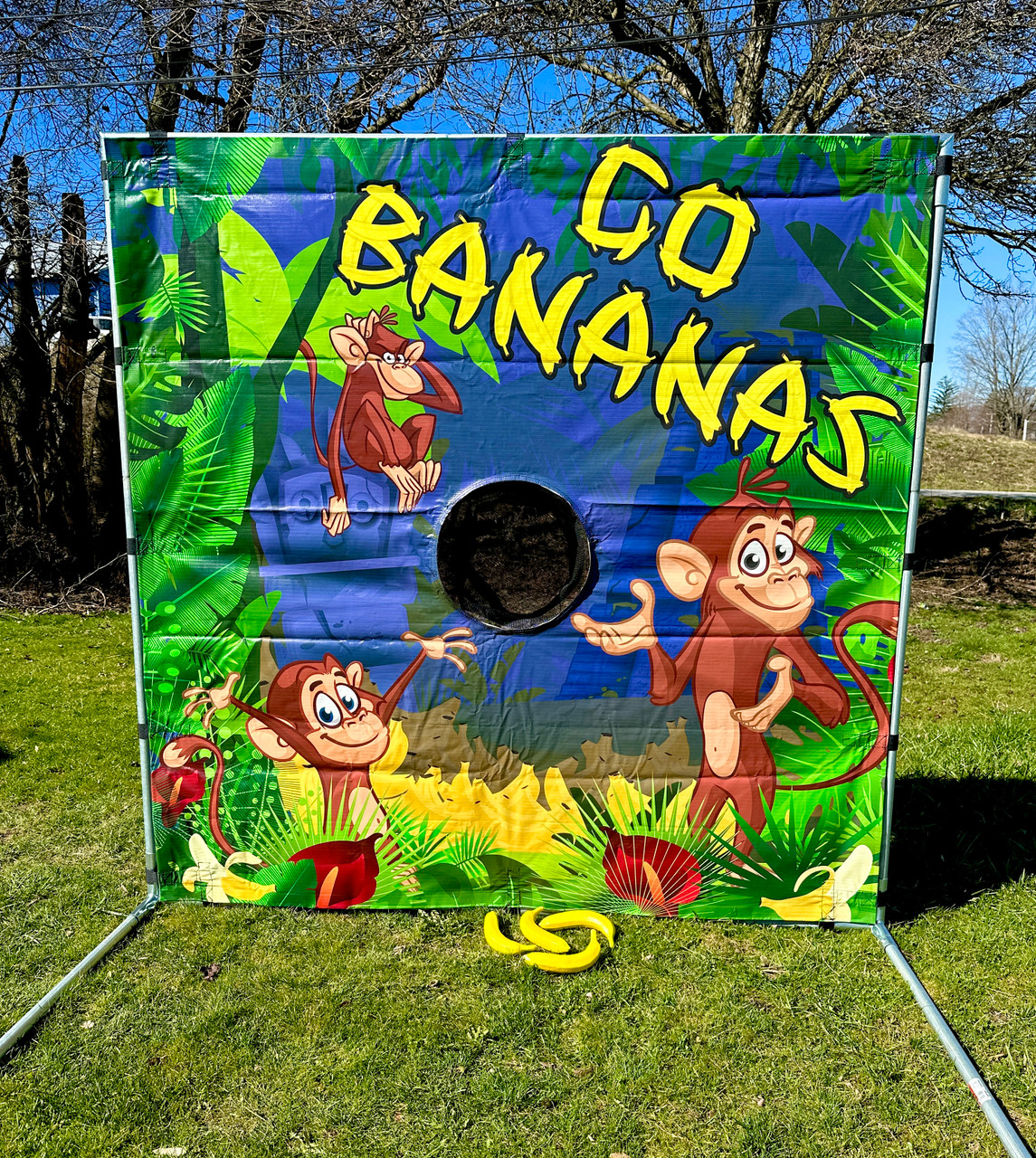 Pizza Toss Canvas