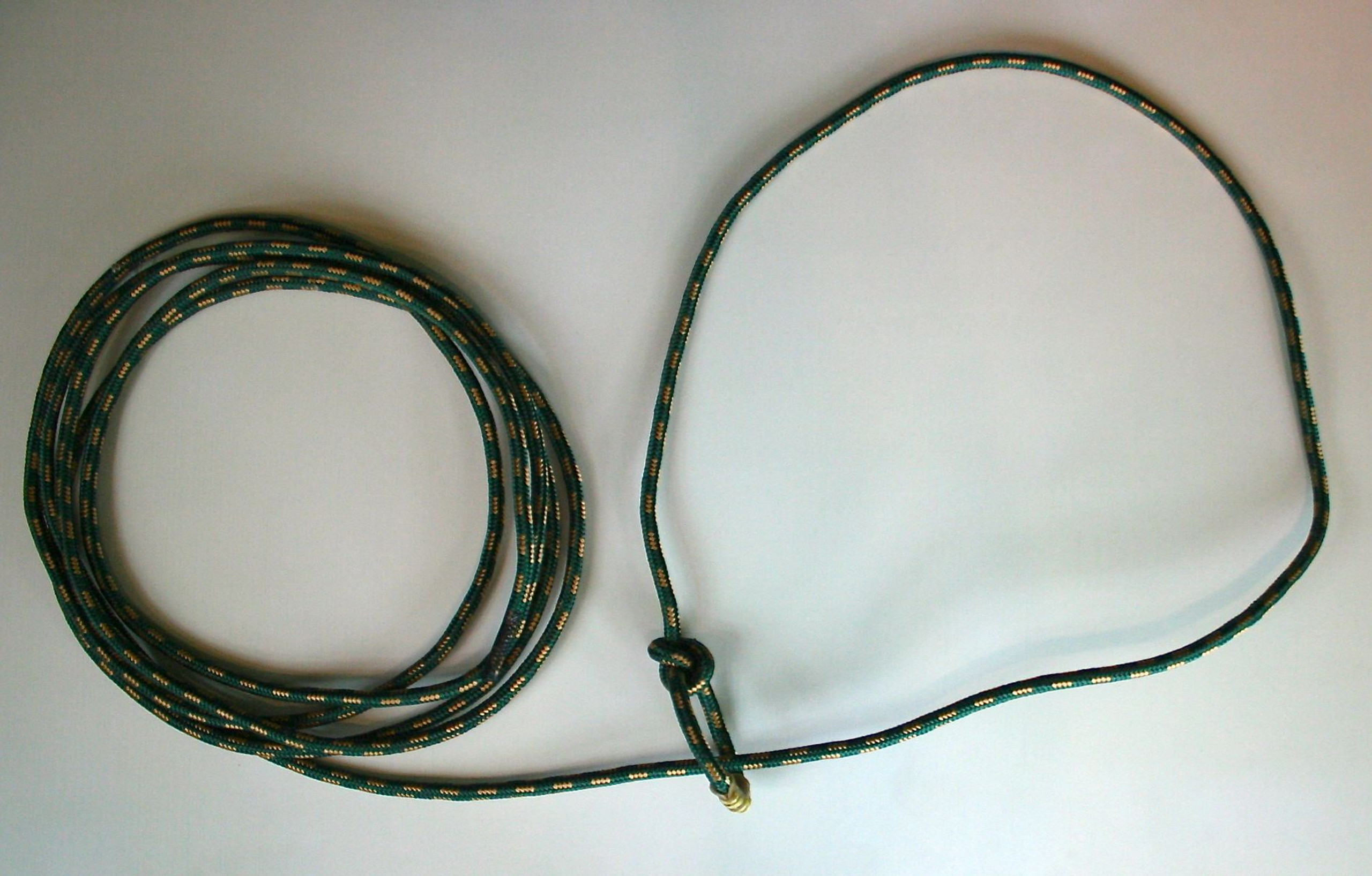 Lasso the Longhorn, Lasso Lasso the Longhorn, Lasso