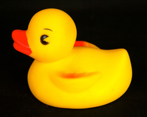 Duck Pond Rubber Duck