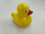 Duck Pond Duck
