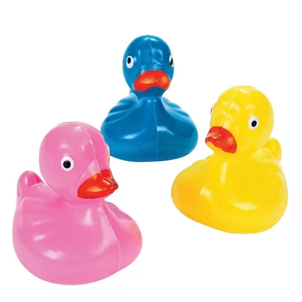 Duck Pond Duck