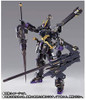 BANDAI METAL BUILD Crossbone Gundam X2 Mobile Suit Crossbone Gundam 