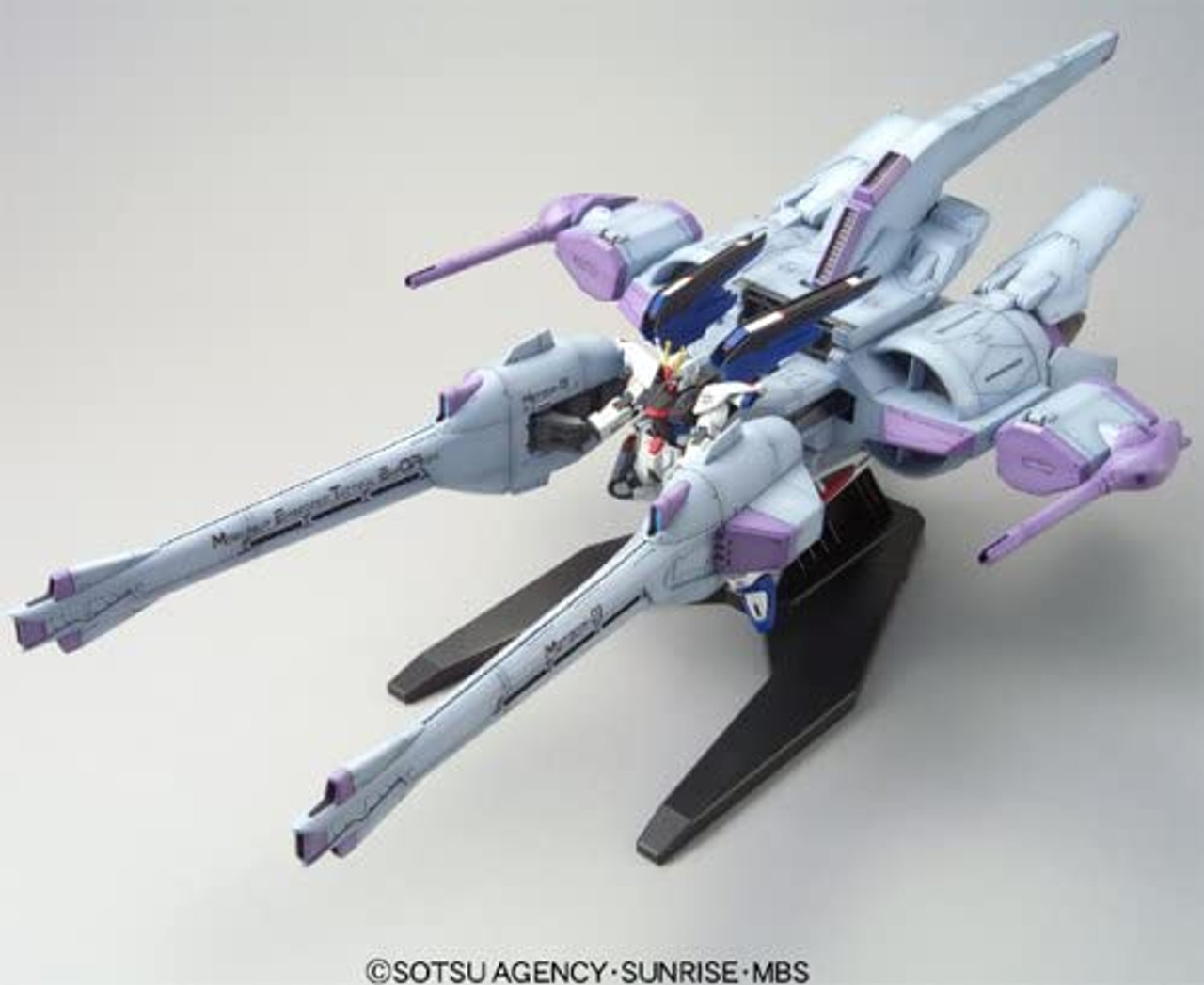 Bandai Gundam RG 1/144 STRIKE FREEDOM GUNDAM [TITANIUM FINISH] Model Kit Action Figure