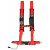 4 Point 2" AutoStyle Harness (Driver Side) | Pro Armor
