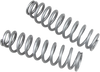 HIGH LIFTER Shock Springs - Rear - Silver 79-13838