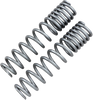 HIGH LIFTER Shock Springs - Rear - Silver 79-13869