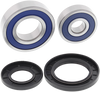 ALL BALLS Wheel Bearing Kit - Rear - '78-'79 KZ/'09-'17 FZ 25-1282