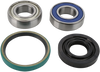 ALL BALLS Chain Case Bearing and Seal Kit 14-1017