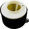 ALL BALLS Replacement Air Filter - Kawasaki 48-1013