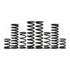 ZBROZ Can Am Maverick X3 MAX 72" 2.5" Stage 1 Spring Kit