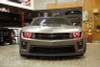 Diode Dynamics 10-13 RS/12-15 ZL1 Camaro RGBW LED Boards