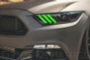 Diode Dynamics 15-17 Ford Mustang RGBW DRL LED Boards