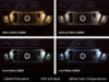 Diode Dynamics 194 LED Bulb HP5 LED - Blue (Single)