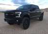 Diode Dynamics 15-17 Ford F-150/17-19 Ford Raptor Switchback LED Boards