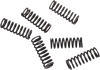 MOOSE OFFROAD Clutch Springs - CRF 450 FHDS155-6