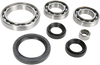 MOOSE OFFROAD Differential Bearing/Seal Kit - Rear - Yamaha 25-2074