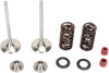 MOOSE OFFROAD Valve and Spring Kit - Yamaha WR450F | YZ450F M80-80960