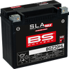BS BATTERY Battery - BGZ20HL (GYZ) 300939