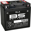 BS BATTERY Battery - 53030 300880