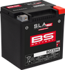 BS BATTERY Battery - BGZ32HL (GYZ) 300935