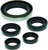 QuadBoss 06-07 Polaris Outlaw 500 Oil Seal Set
