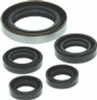 QuadBoss 06-07 Polaris Outlaw 500 Oil Seal Set