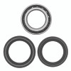 QuadBoss 03-05 Honda TRX650FA FourTrax Rincon 4x4 AT Rear ATV Wheel Bearing & Seal Kit