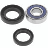 QuadBoss 07-14 CFMOTO CForce 500 Lower Steering Bearing Kit