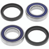 QuadBoss Wheel Bearing Kit (Ea)