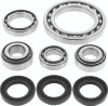 QuadBoss 01-02 Arctic Cat 250 4x4 Front Differential Bearing & Seal Kit